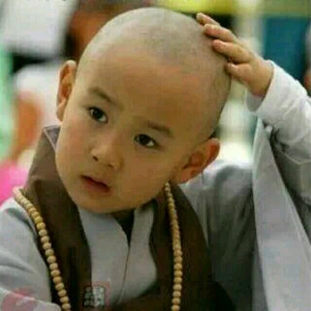 人间凑数的日子