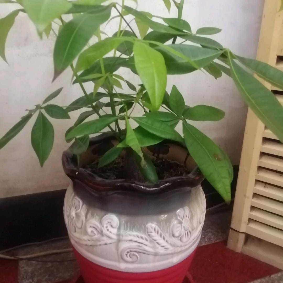 㐓㤅