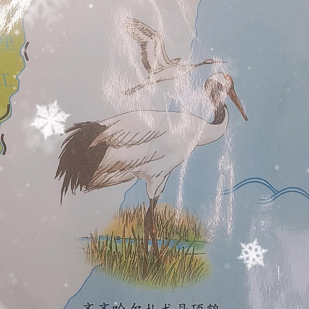 王静怡商贸行爆爆