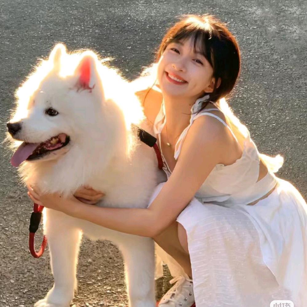 小福星（努力学习版）