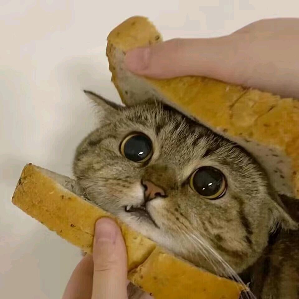 别动我的旺旺小软糖