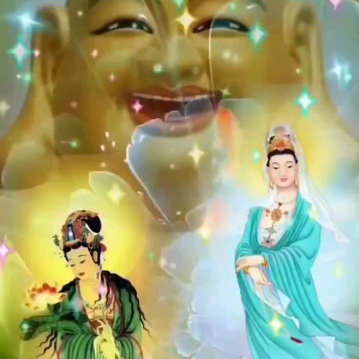 四哥
