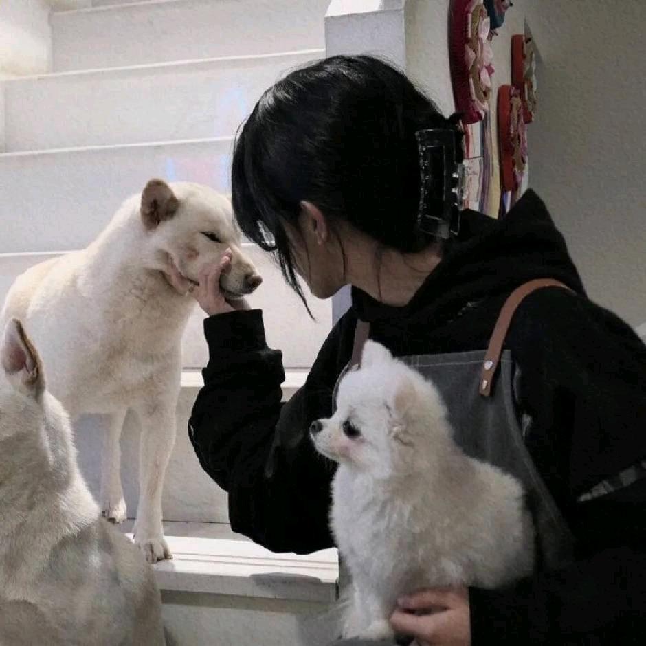 歌头像