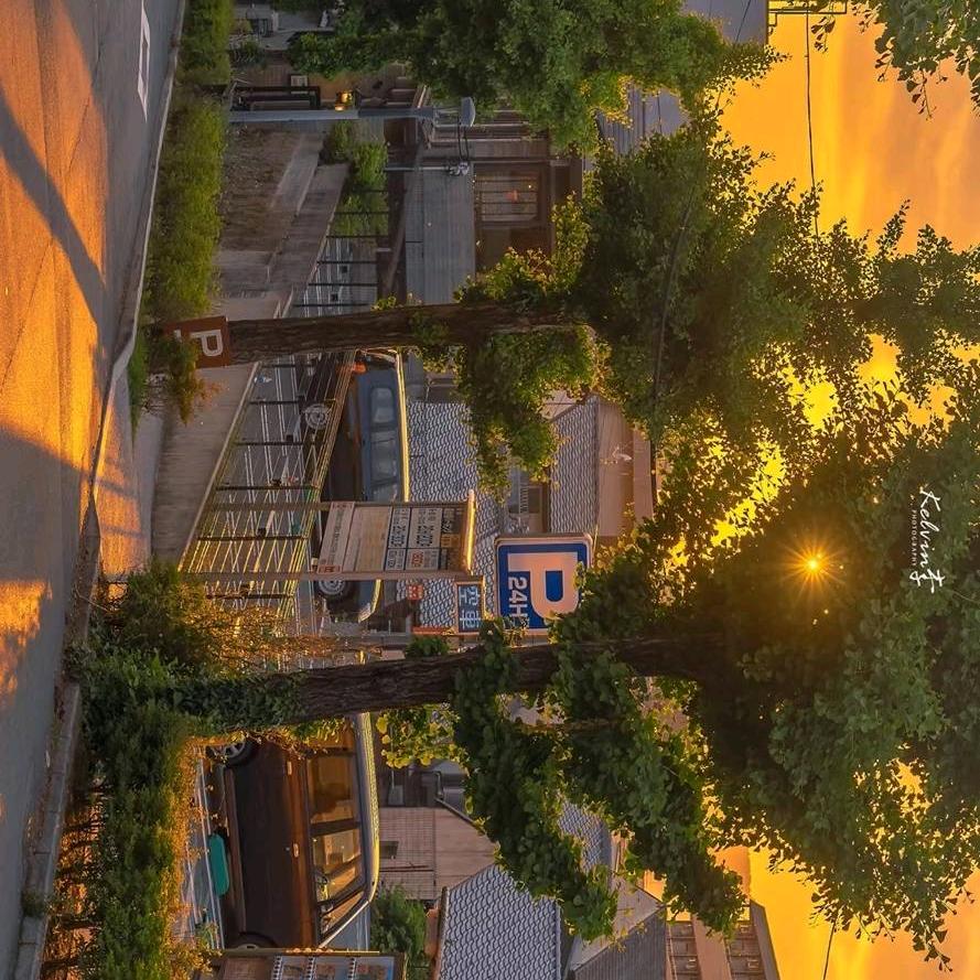刘皇叔