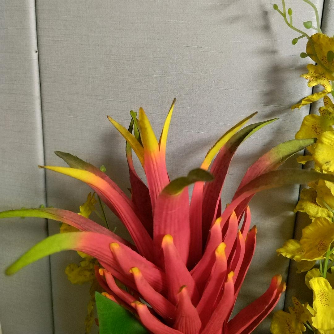 悦慈安