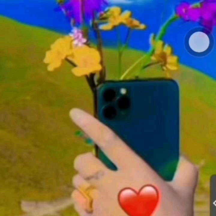 🌸((☀️⥎☀️))🌸