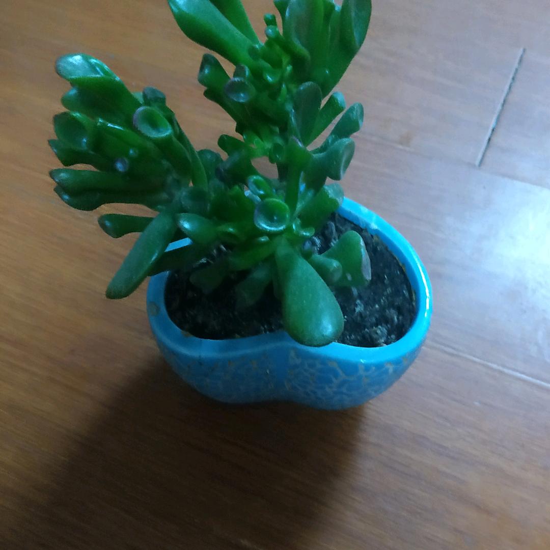 ′′