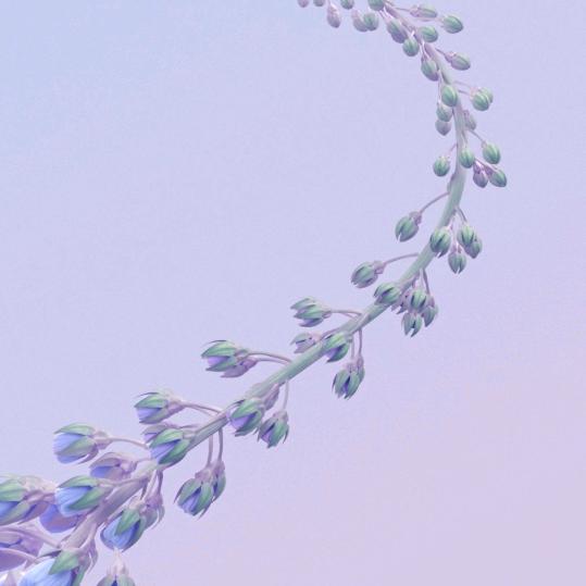 心静如水1