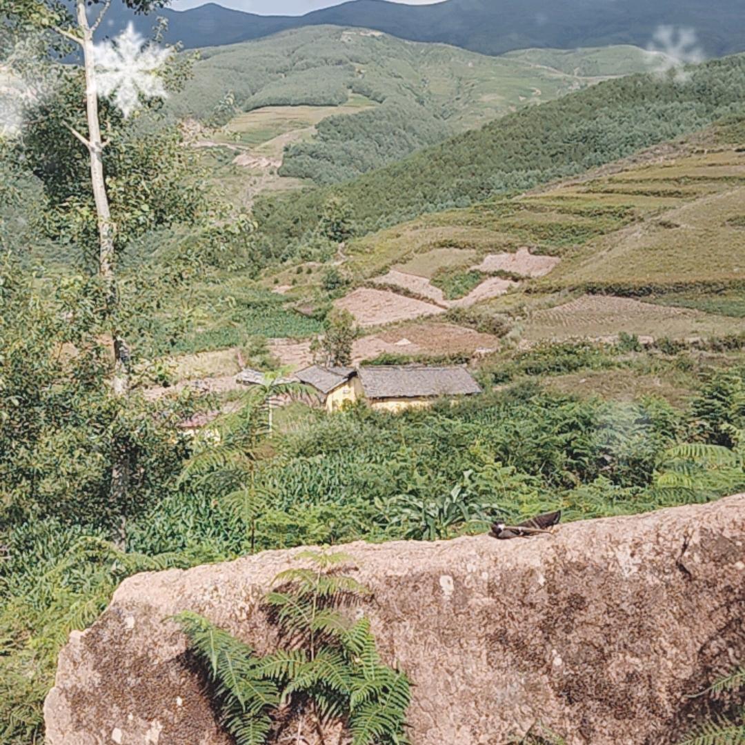 山里的生活