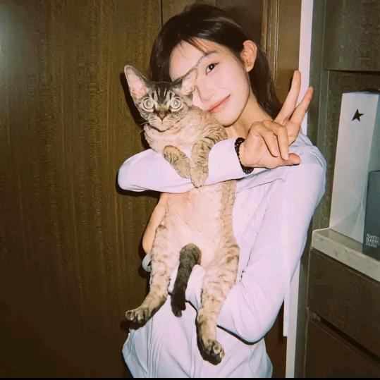 如果我开挖掘机你会爱我吗