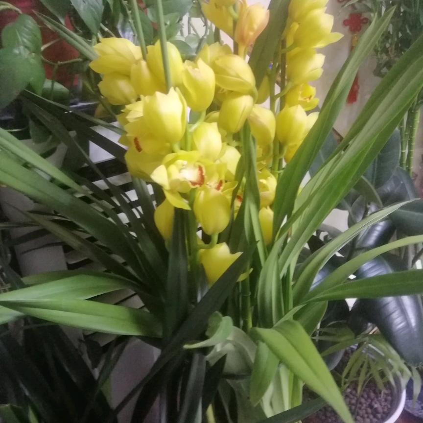 长沙市雨花区邱地河百货店（个体工商户）