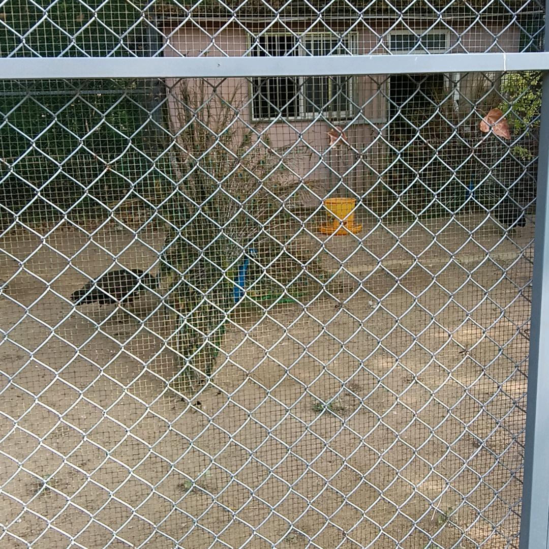 高高兴兴活好每一天256