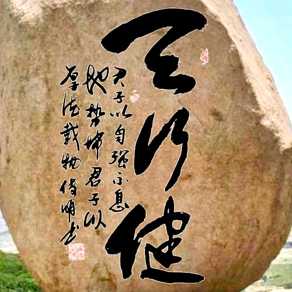 天行健·永恒鸢尾