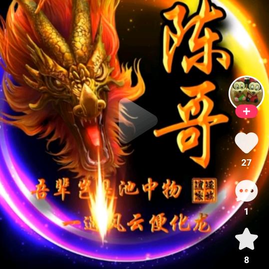 我姓陈