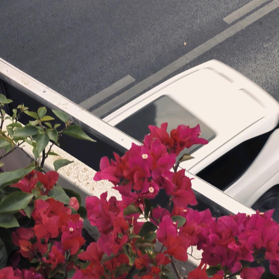 凝固的生活日志🍬