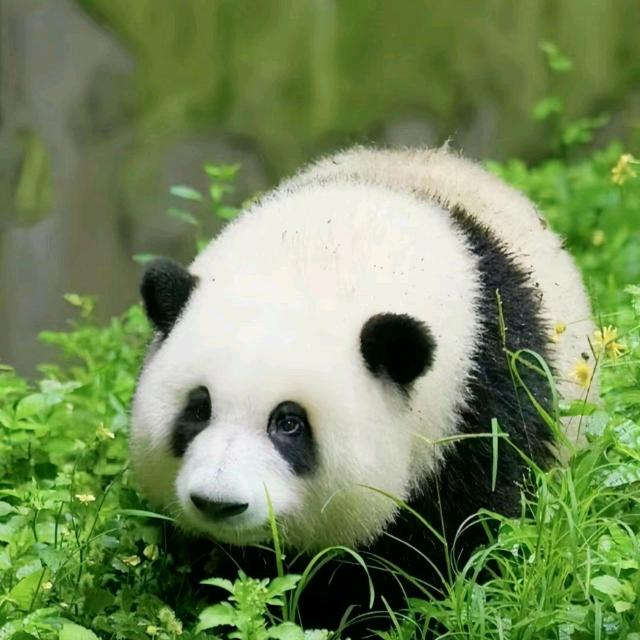 魂牵梦绕
