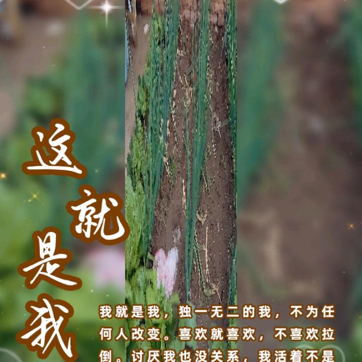 手机用户92107047579
