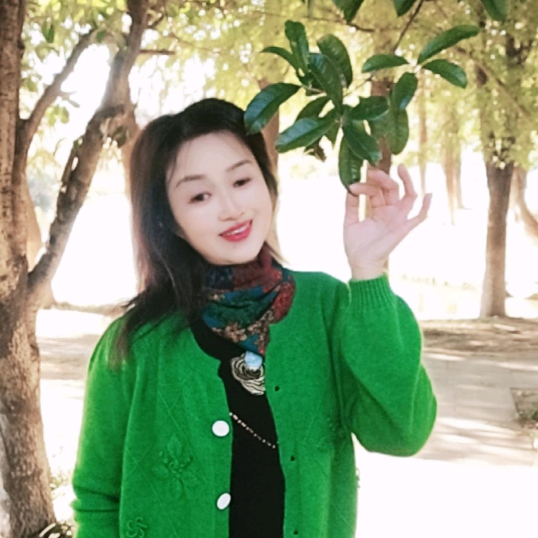 60后的燕子🐇