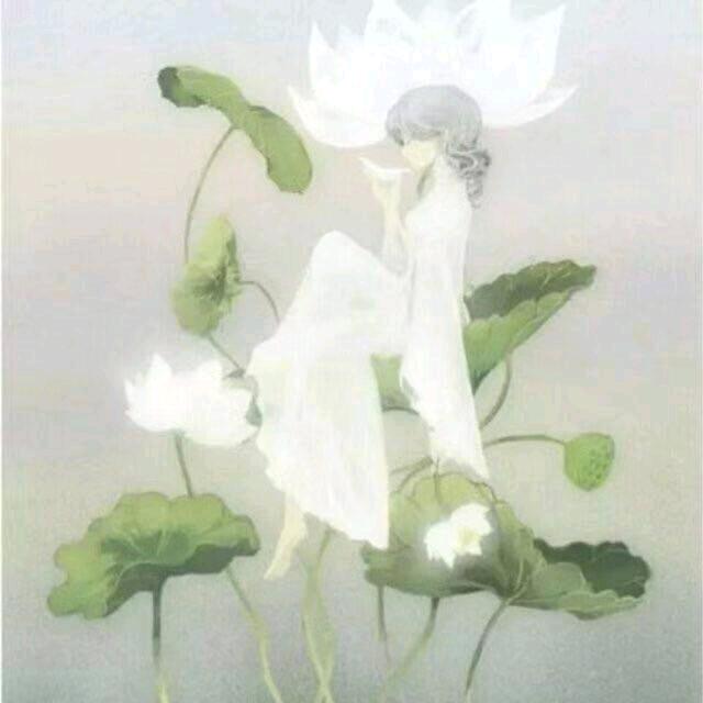 楠风