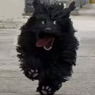 ☔羽尘