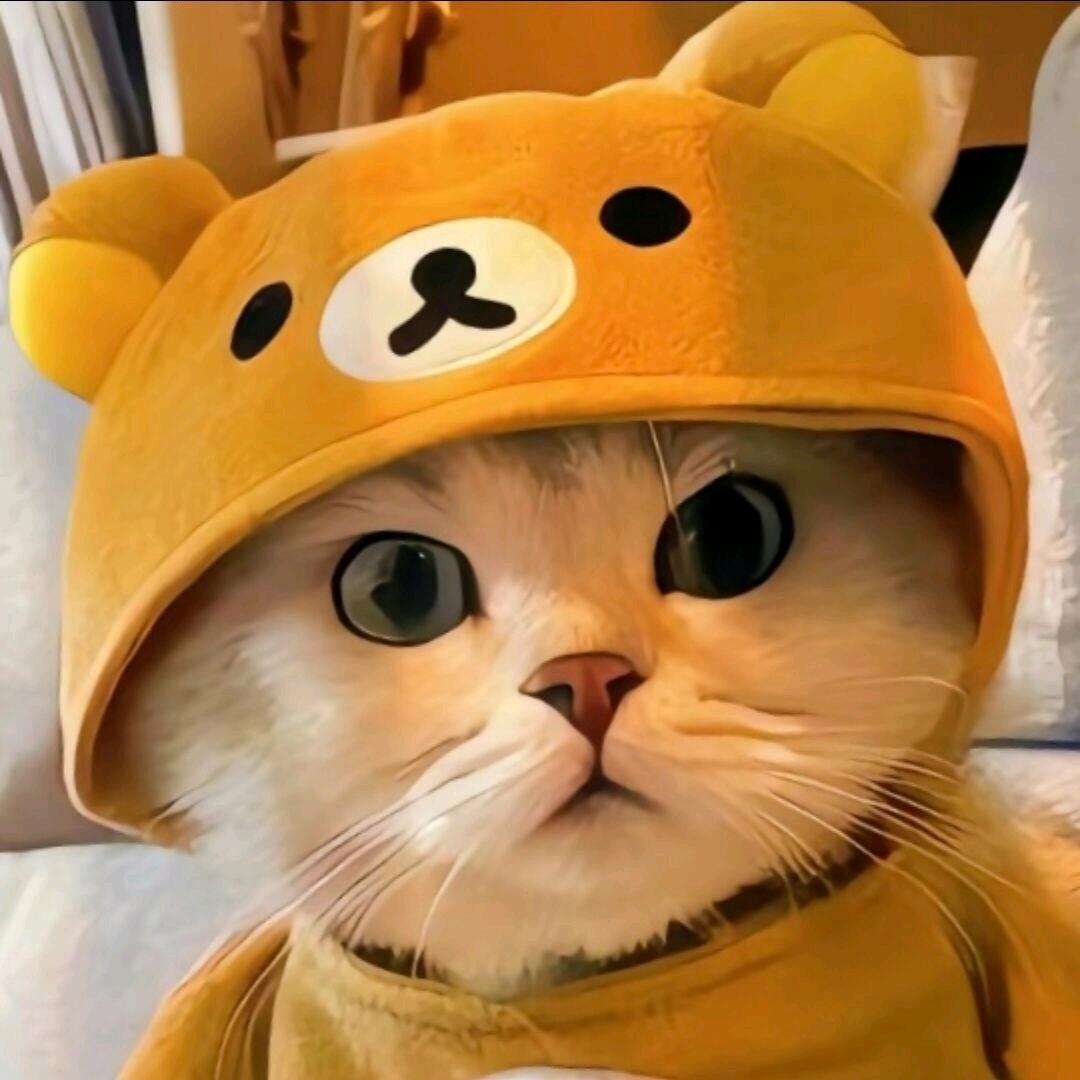 好梦小刘(小抄创始人)