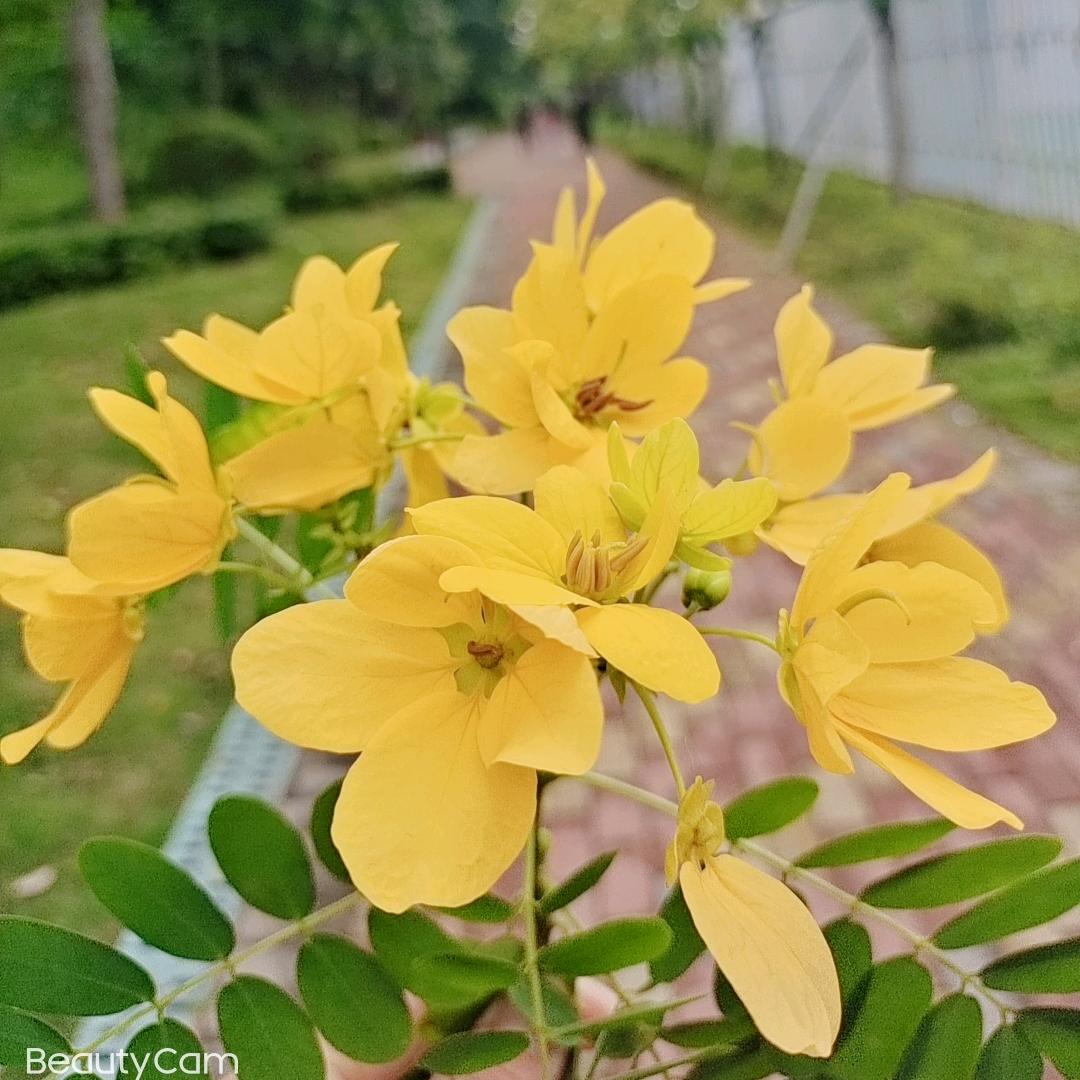 柔情似水