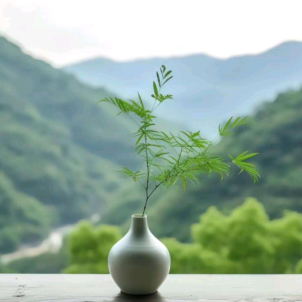 ♥无忧