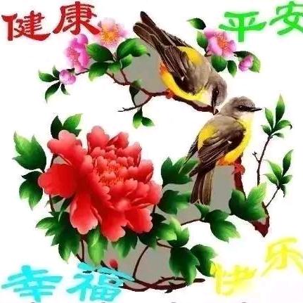 见李开心