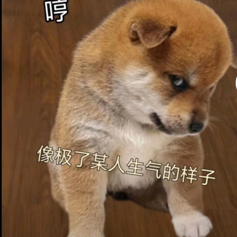 爱错人最难过