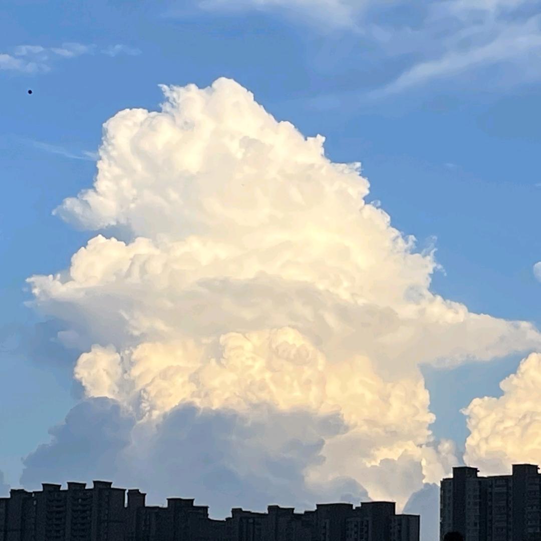 静心健康