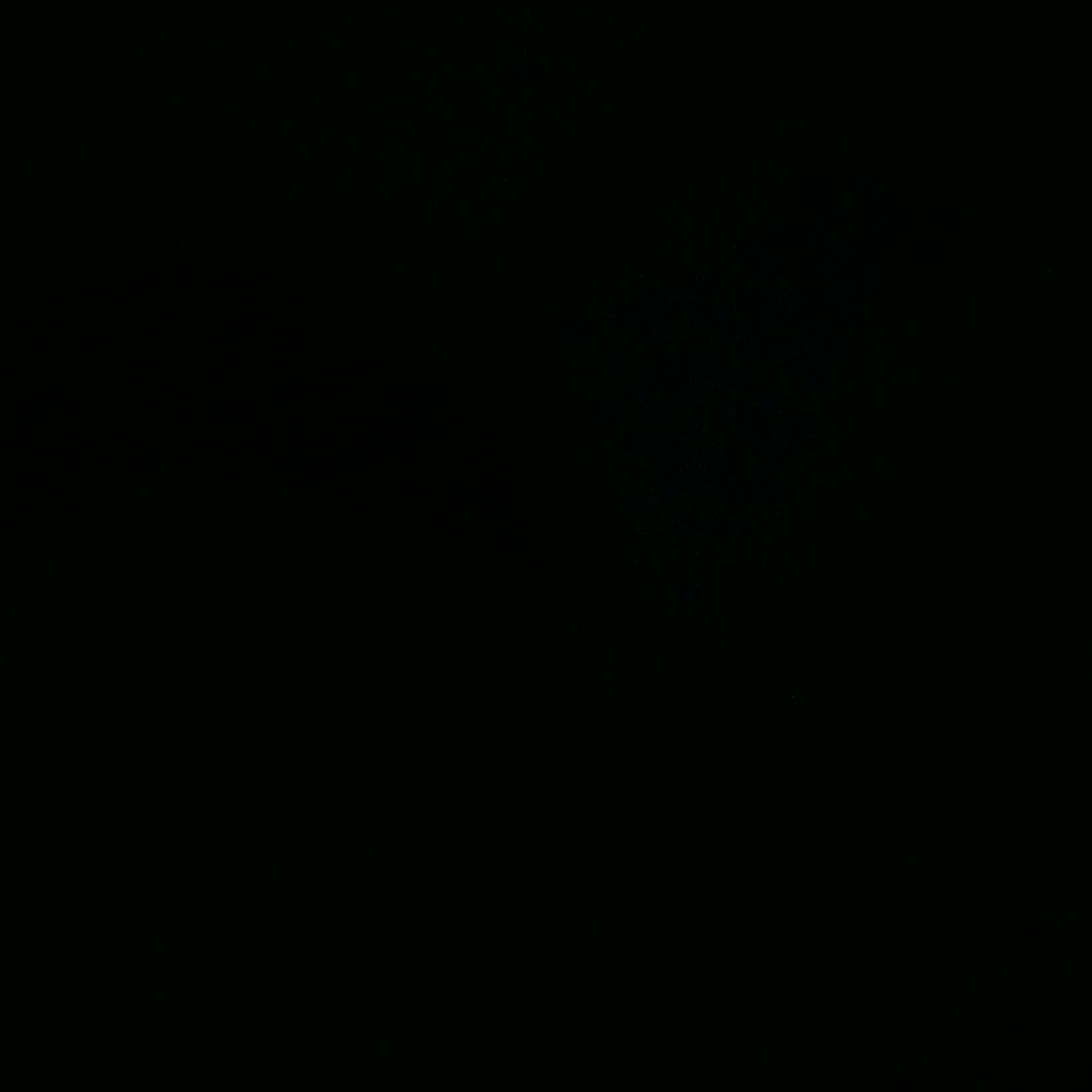 道愿