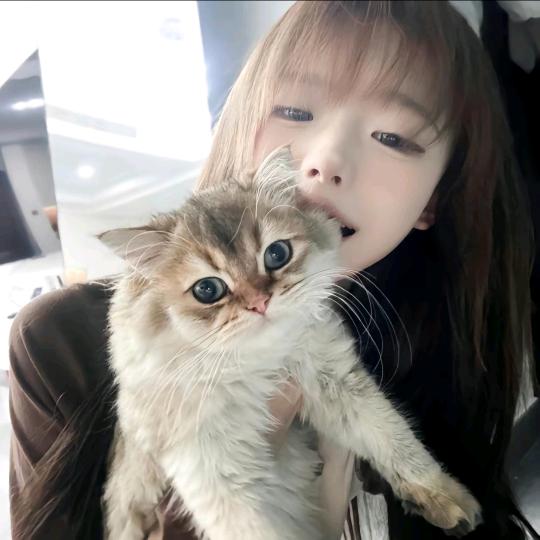 靓_