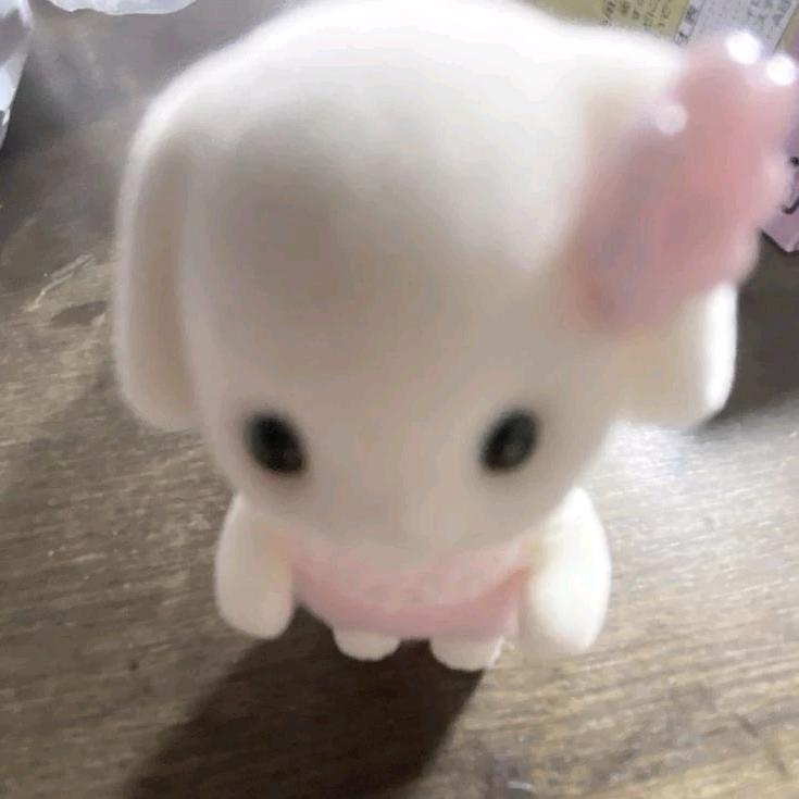 排骨国国王