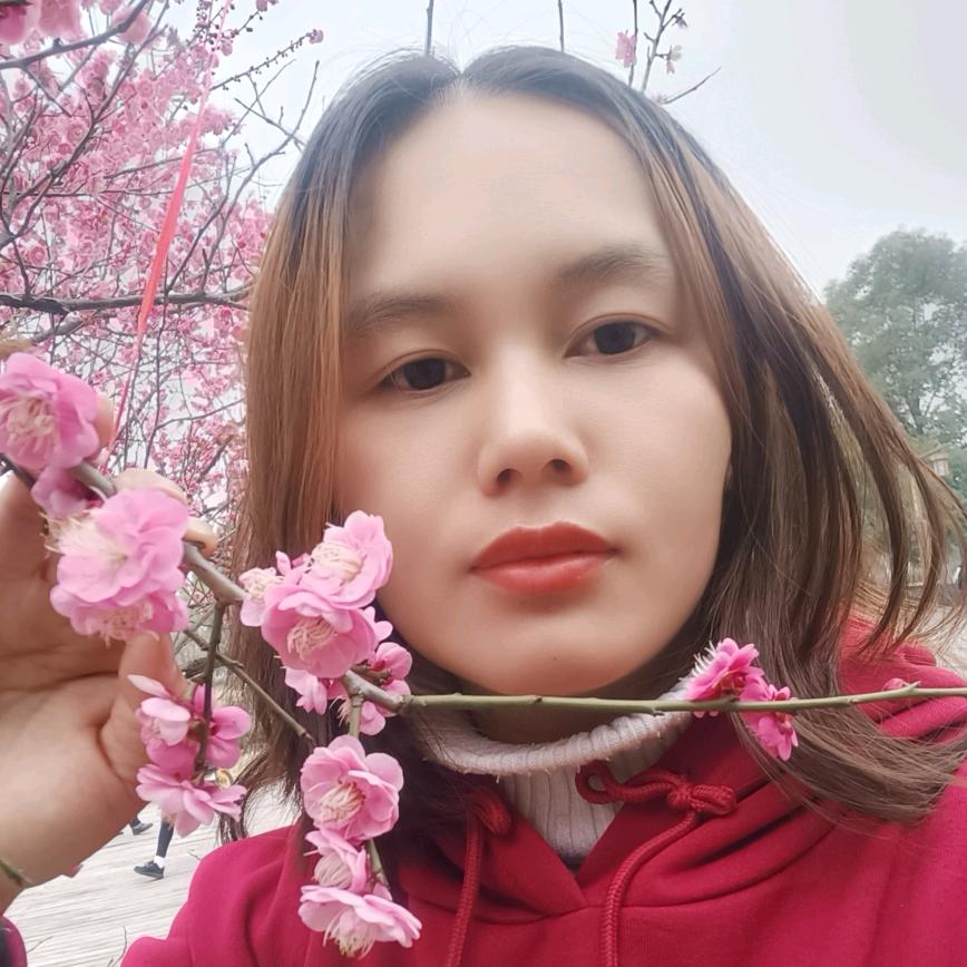 心若向阳