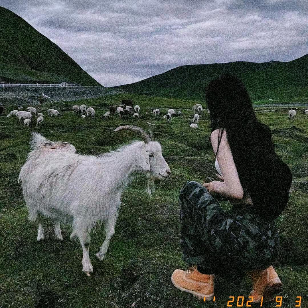索南培💕