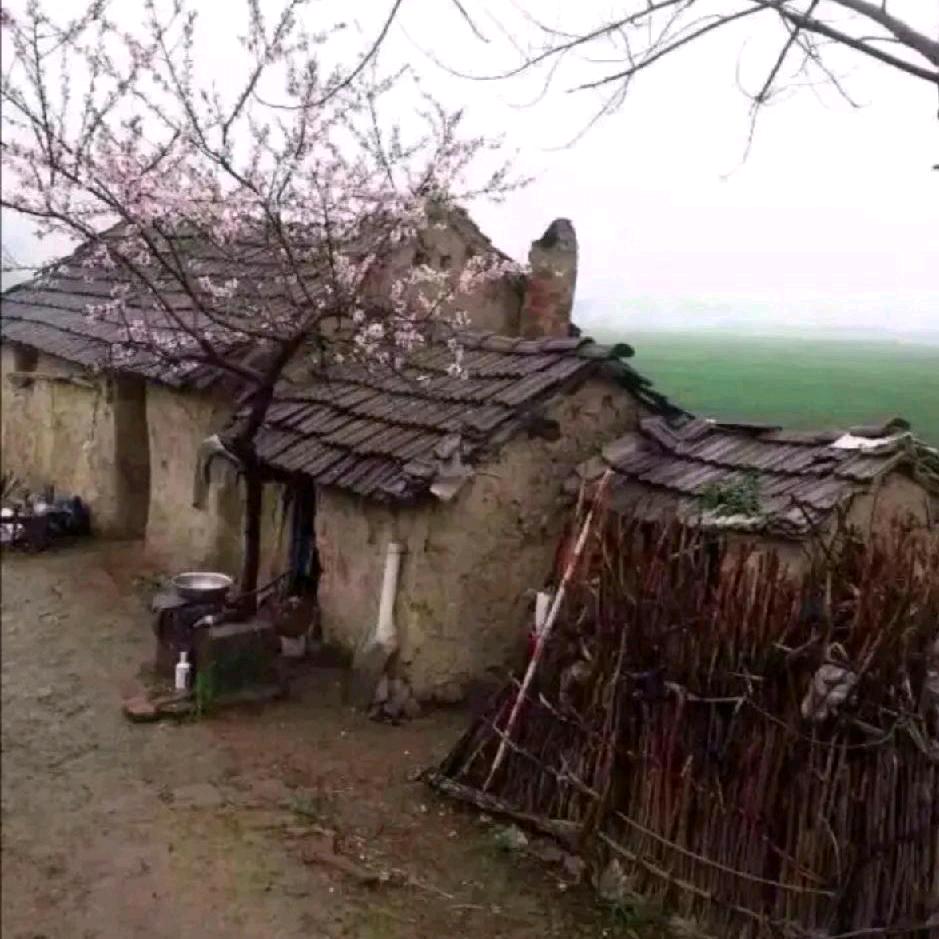 中国梦🇨🇳🇨🇳🇨🇳