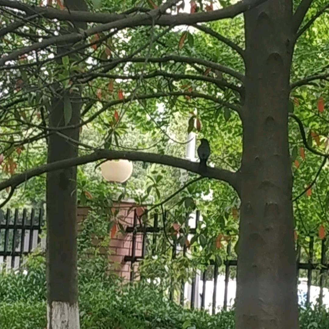 广饶县丁庄街道坤超文化用品店