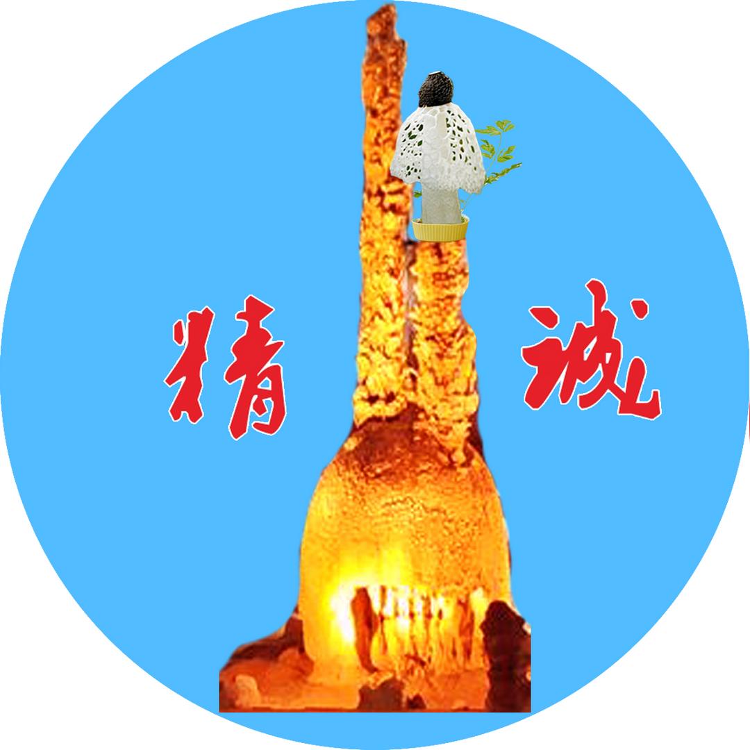 精诚培训学校小罗