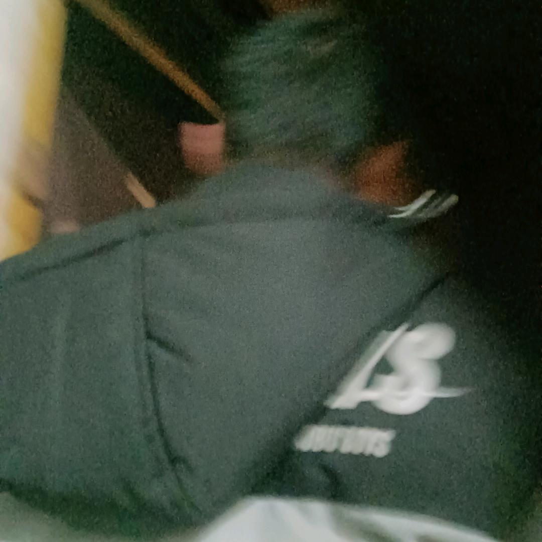 路脑