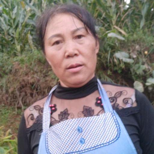 迟二姐