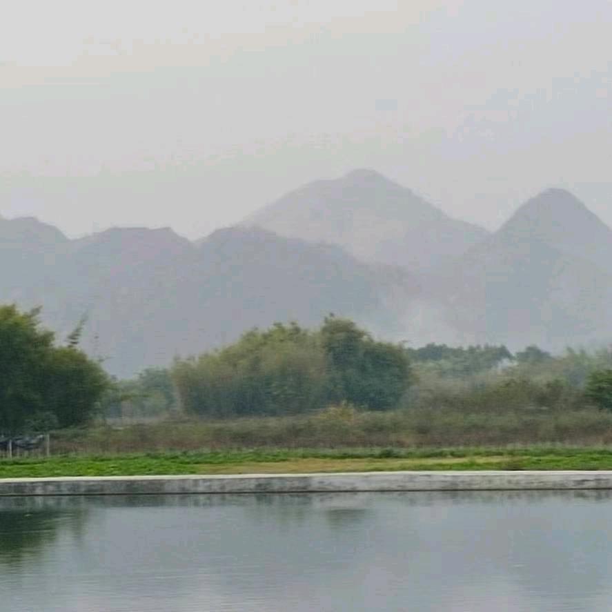 用户名51566090头像