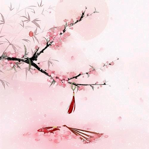 🕊️🥀ꦿ幸运ꦿ🌿相ᮩ້随🍓🌸