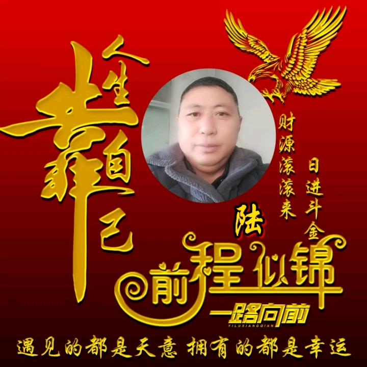 陆哥