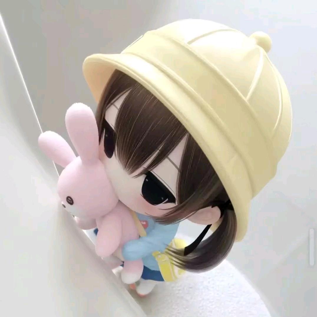 小佳大王