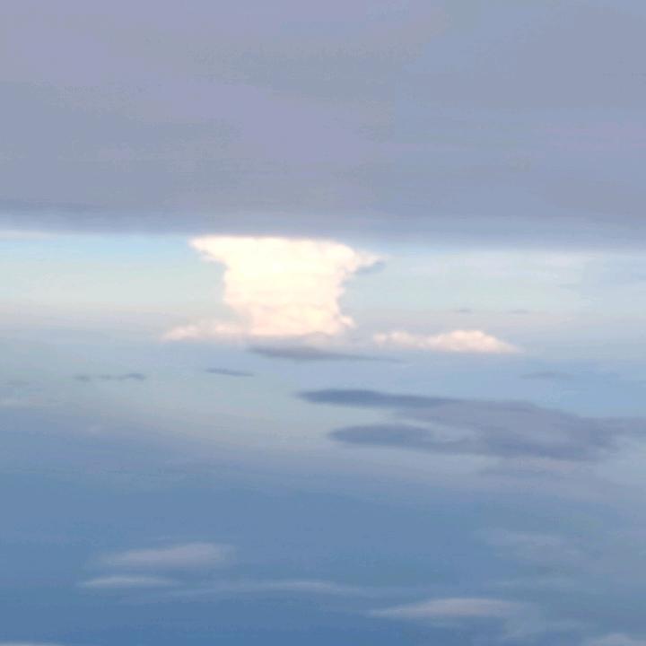 我是表哥