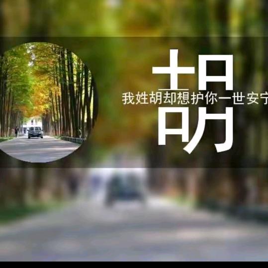 任性不解释