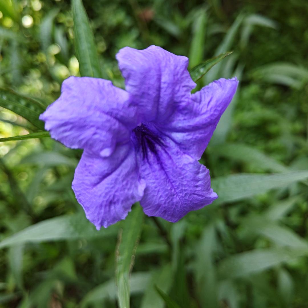 媳妇孩子热炕头儿