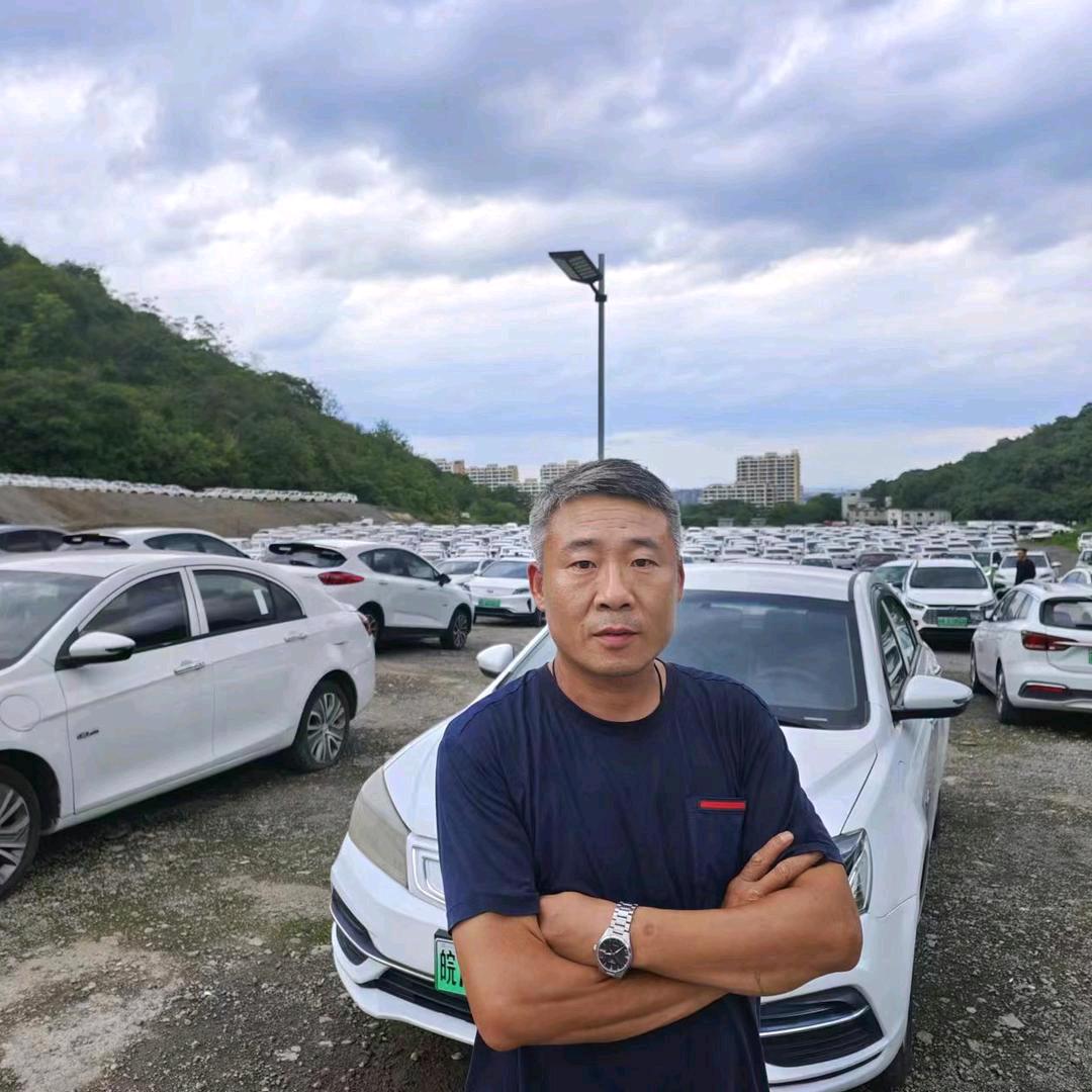 亮哥新能源汽车批发零售