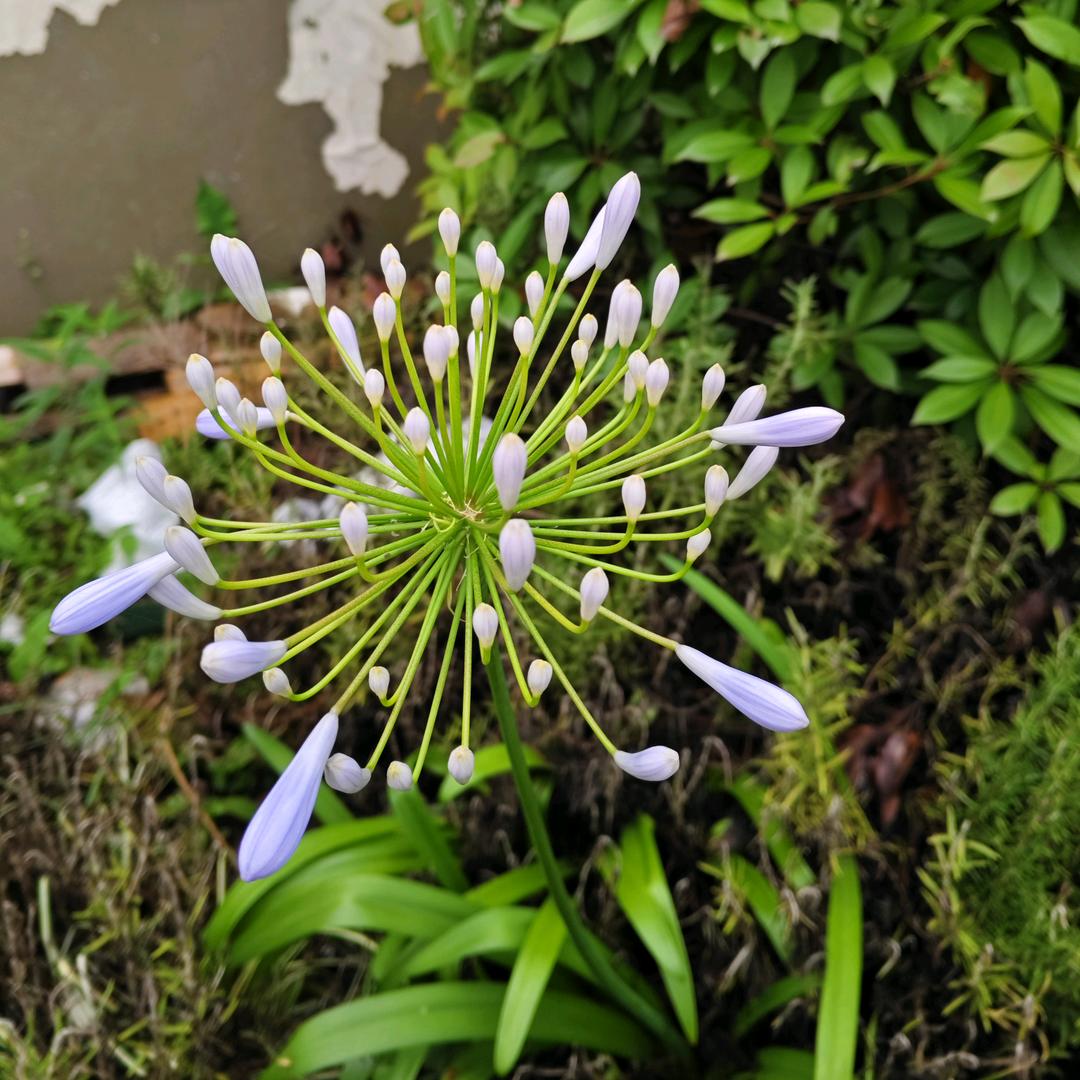 🇨🇳记得爱我🇨🇳