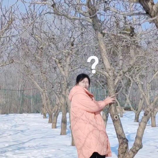 王没疯